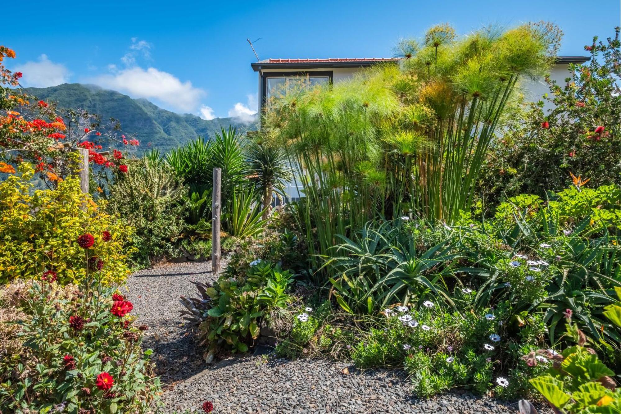 Landure By Madeira Sun Travel Daire São Vicente Dış mekan fotoğraf